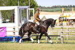 SBM_18581