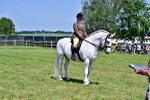 SBM_15339