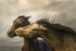 Into the World of Horses