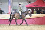 SBM_07251