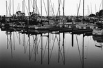 Boats (San Diego) #3
