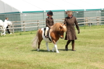 SBM_05261