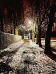 november-snow
