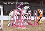 BPP_8194