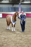 SBM_15298