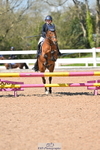 Cls 22 & 23 Stepping Stones 128cm & 138cm & Under11's portfolio