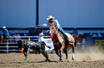 3HRodeo8-11-25_PRCASteer_01415_