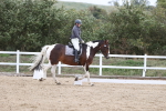 SBM_003031