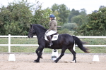 SBM_016741