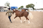SBM_08238