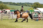 SBM_07106