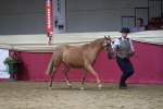 SBM_04973