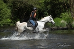 SPXX1428