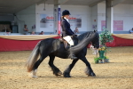 SBM_20527