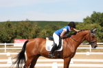 SBM_002885