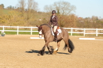 SBM_003480
