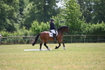 WJ6_7743