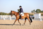 SBM_01604