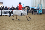 SBM_003311