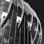 IMG_8418bw