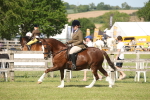 SBM_09589