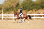 SBM_016833