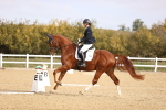SBM_009613