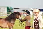 SBM_00462