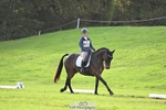 Section E, BE90 3DE Rider 401+ portfolio