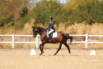 SBM_018442