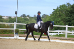 3E7A8135