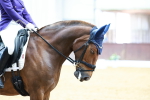 SBM_002467