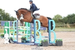 Cls 29 Senior Newcomers Championship portfolio