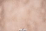 240505A-160202-07062