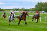 210526-Race 4-Analogical-4450