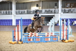 SBM_003436