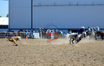 3HRodeo8-11-25_PRCASteer_02960_
