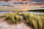 Grass Sand Dune2 - Wells Next The Sea - Norfolk