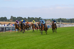 140726-Race 5-Crafty Spirit-1570
