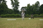 WJ6_7020