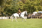 SBM_65965