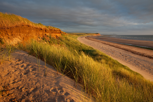 Mid summer evening golden sunlight bathes the North West coastline and contrasts against the dark and grey skies.