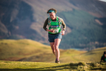 Sale Fell-400