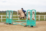 SBM_005441
