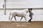 BPP_0907