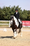 SBM_003683