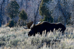 3HPhotography_Grand_Teton_OCT2025_00393