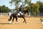 SBM_16549