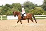 SBM_001490