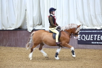 SBM_003464